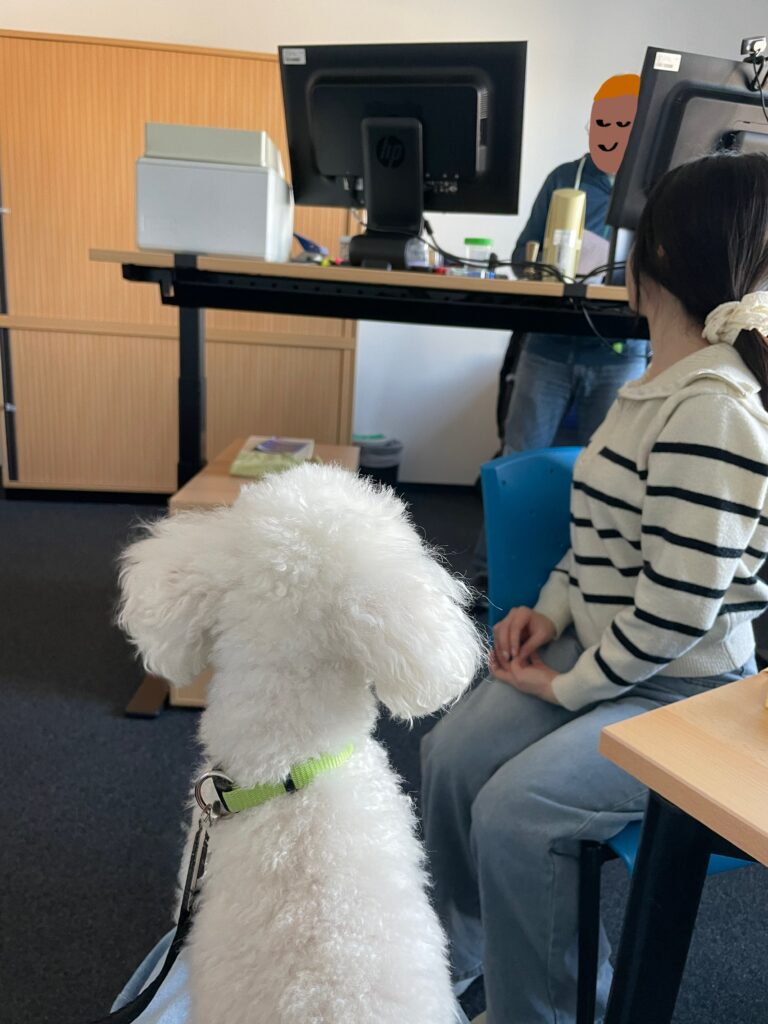 獣医局での輸出前検査の様子