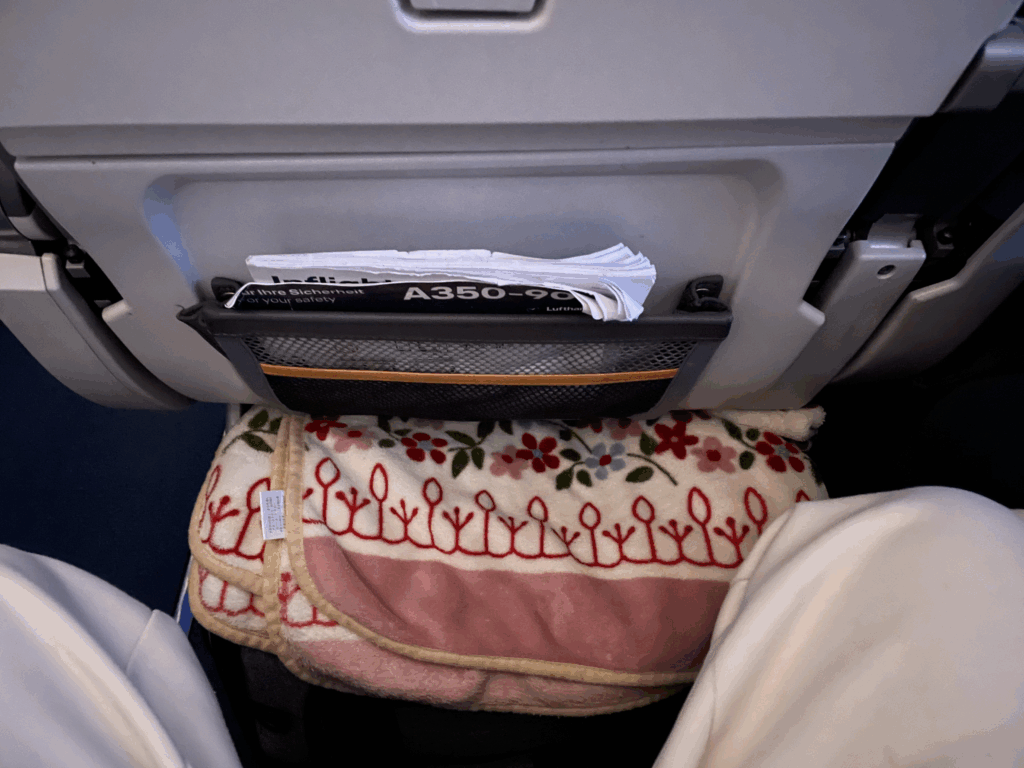 機内でのペットの配置